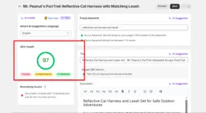 SEO Health score 97 optimization result